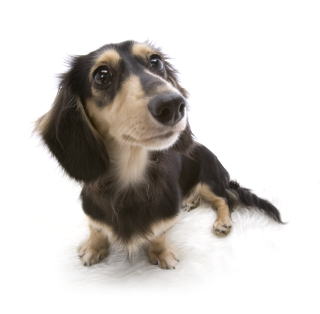 �u���b�N���N���[�� �J�j���w���_�b�N�X